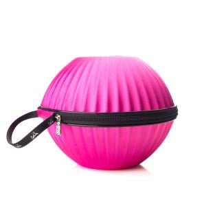 Bra Storage Case