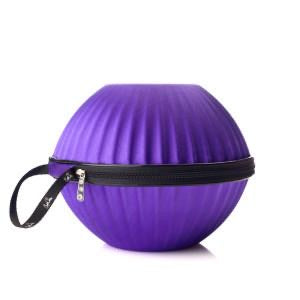 Bra Storage Case